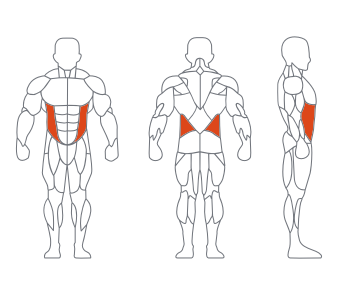 LS-011腰部旋转练习器 LS-011腰部旋转练习器