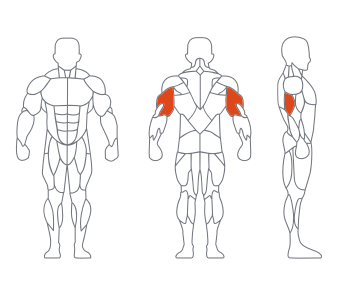 GL-7012坐式高拉背练习器(白黑) GL-7012坐式高拉背练习器(白黑)
